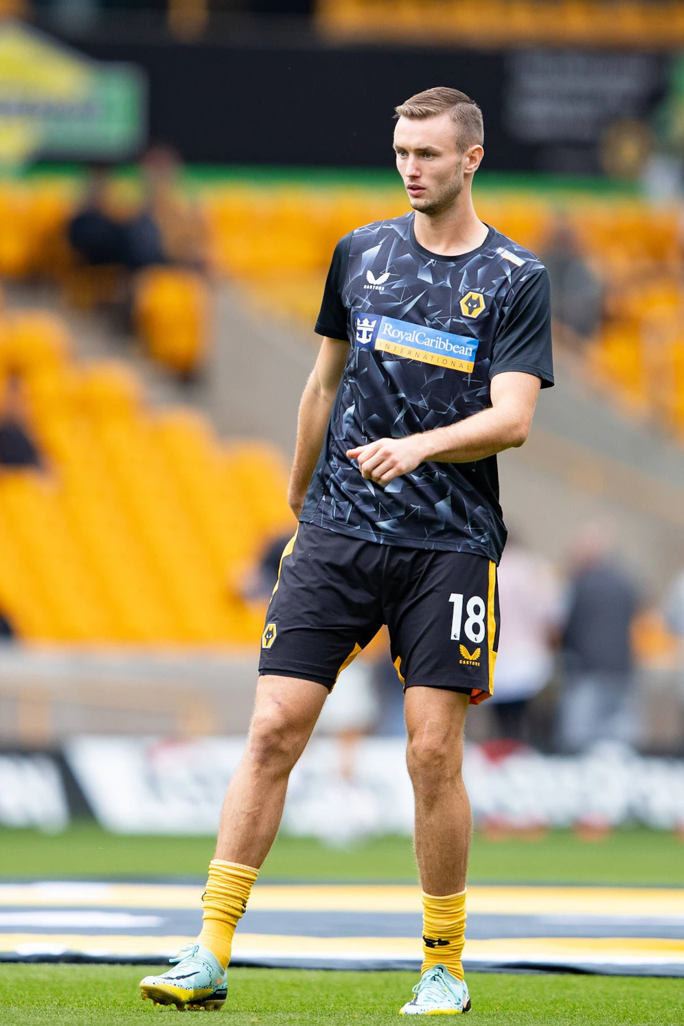 Sasa Kalajdzic fehlt Wolverhampton bis zum Saisonende.