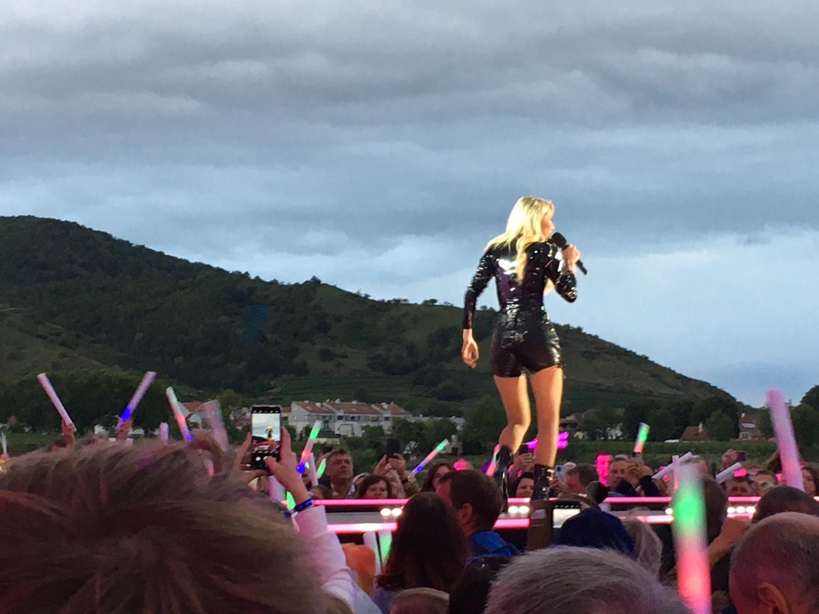 Den Po des Schlagerstars ziert ein 