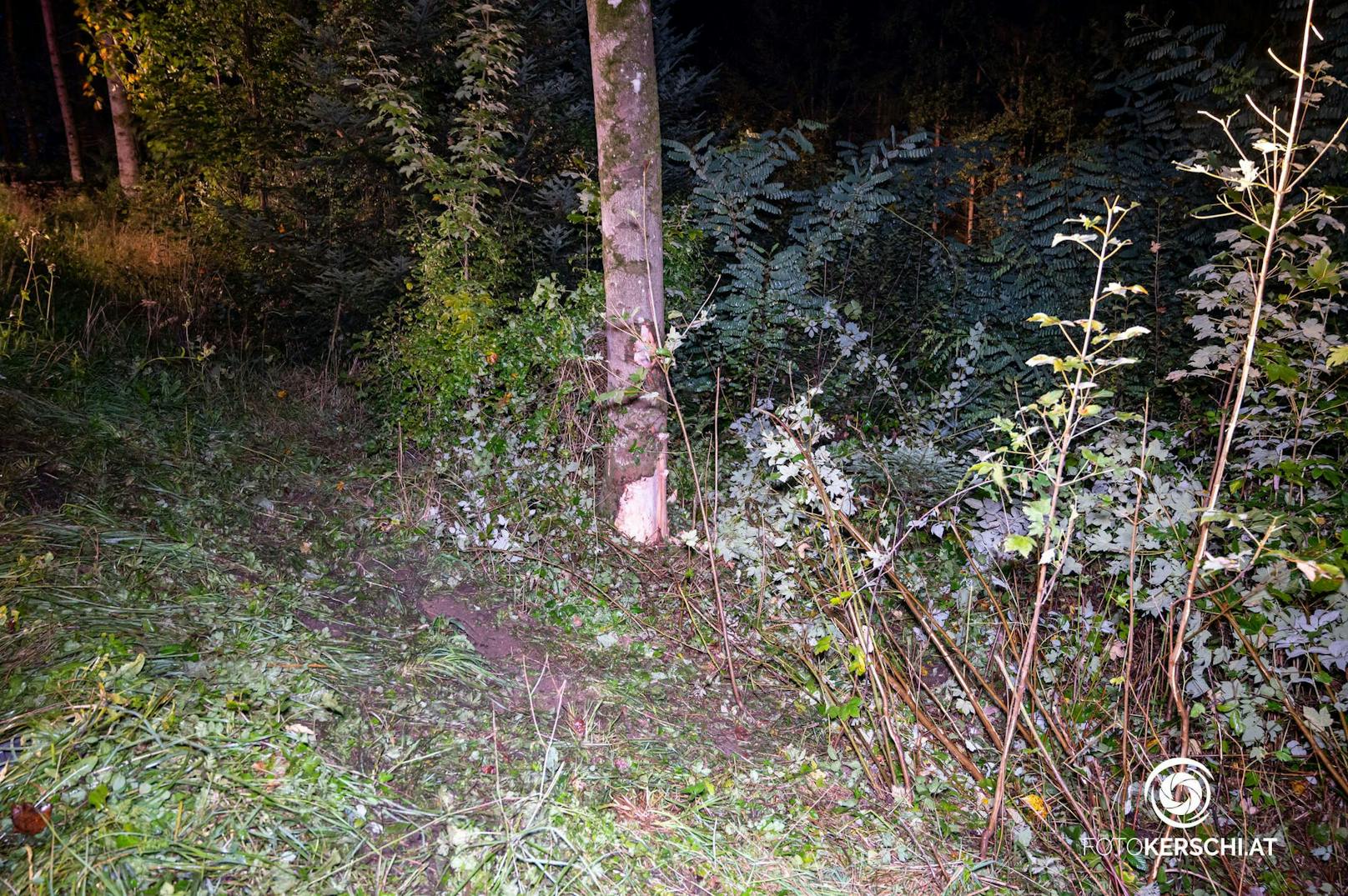 In Arbing kam in der Nacht auf Sonntag ein Fahrzeug von der Straße ab und prallte gegen einen Baum.