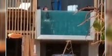 Paar treibt's im Pool am Balkon und alle schauen zu