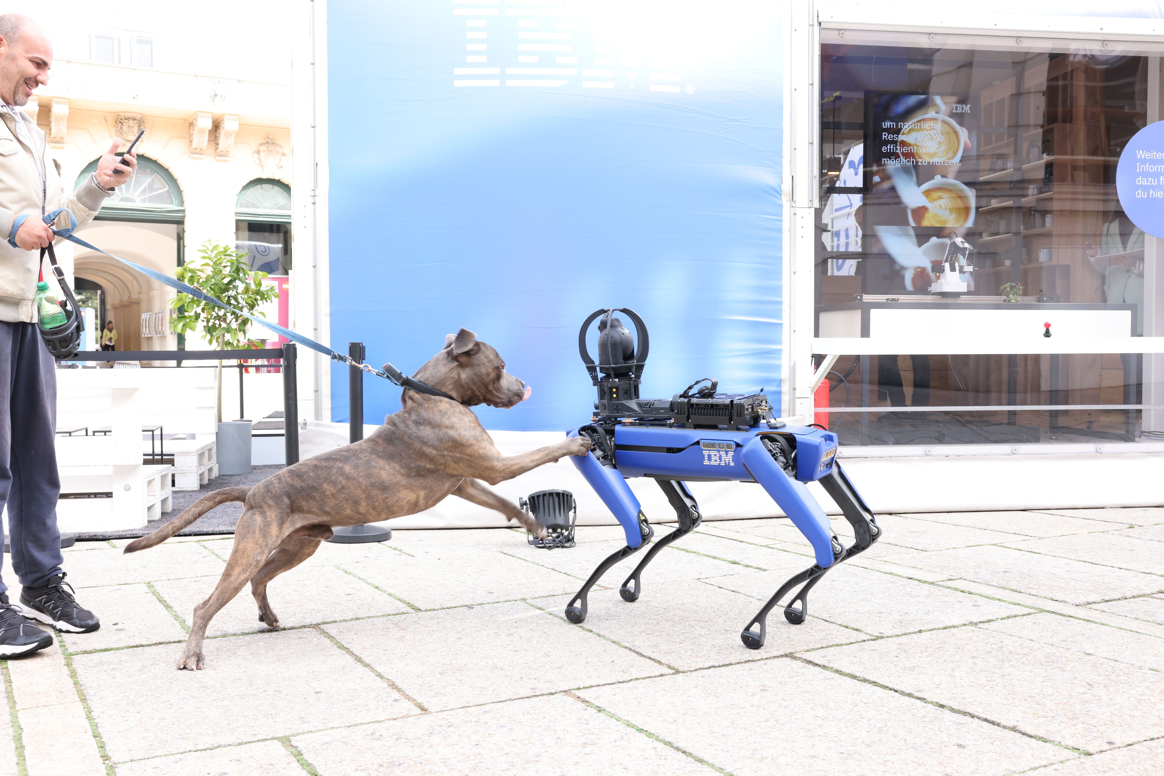Roboter-Hund Pluto trifft den Hund Zeus im Museumsquartier. Die gegenseitigen Sympathien sind groß.