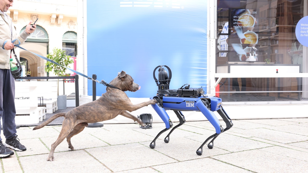 Heute.at - Roboter-Hund Pluto datet Pitbull im Museumsquartier