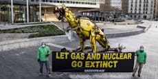 Greenpeace kündigt jetzt Klage gegen EU-Taxonomie an
