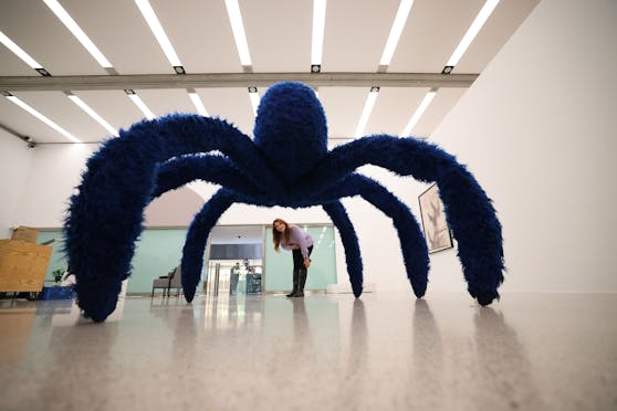 Das große Krabbeln! Piono Pascalis "Blaue Witwe" begrüßt Museumsbesucher im Eingangsbereich des mumok.