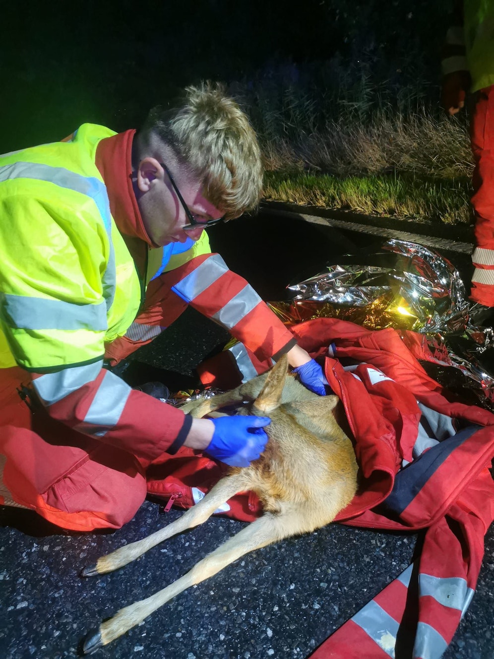 Sanitäter versorgten ein verunfalltes Reh mit Wärmedecken.