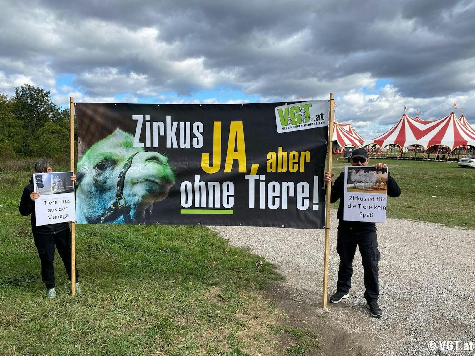 Der VGT hat am Wochenende vor einer Vorstellung des Zirkus Candy demonstriert, derzeit gastiert der Tierzirkus in Wr. Neustadt.