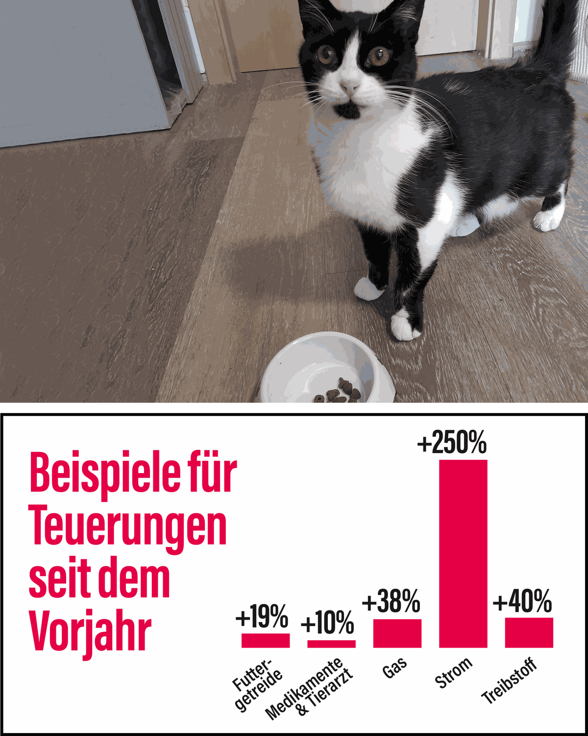 Die Preise für den Strom sind am steilsten gestiegen.