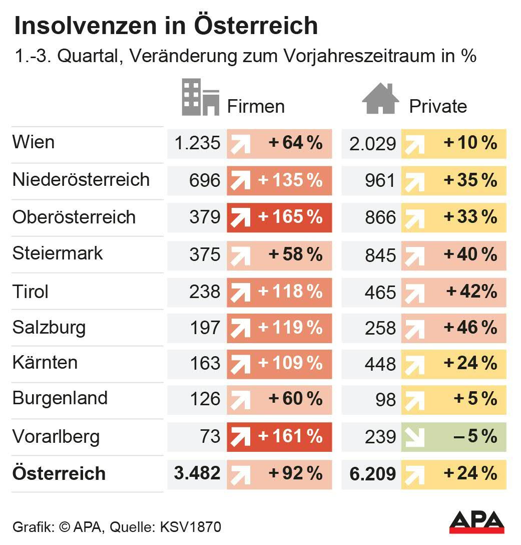 Unternehmen und Private nach Bundesländern