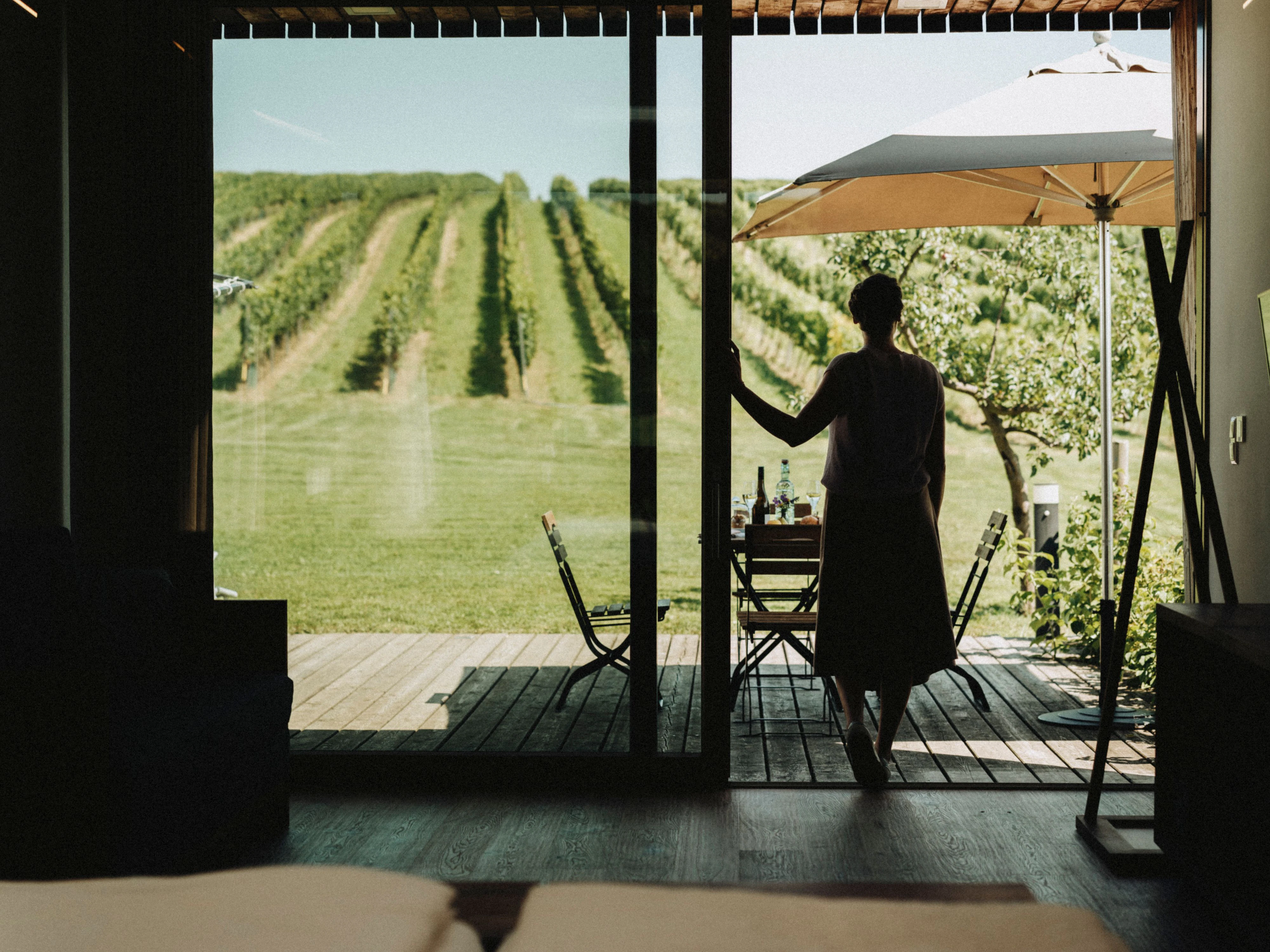 Weinherbst, Bioweingut Weber, Weinviertel