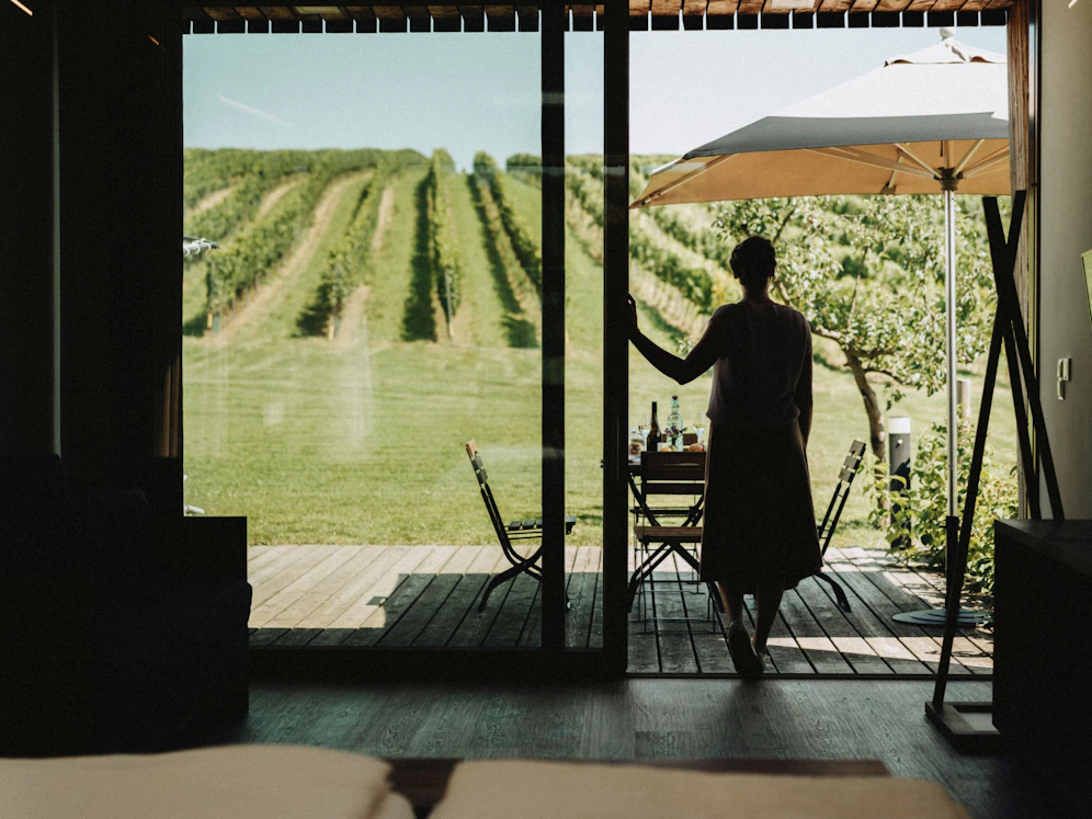 Weinherbst am Bioweingut Weber im Weinviertel