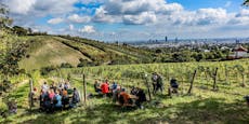 Wiener Weinwandertage feiern ihr Corona-Comeback