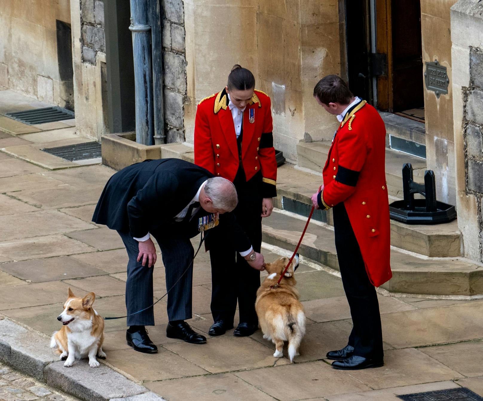 Er hatte seiner Mutter die Hunde im vergangenen Jahr geschenkt, weil sie nach dem Tod von Prinz Philip so einsam war.