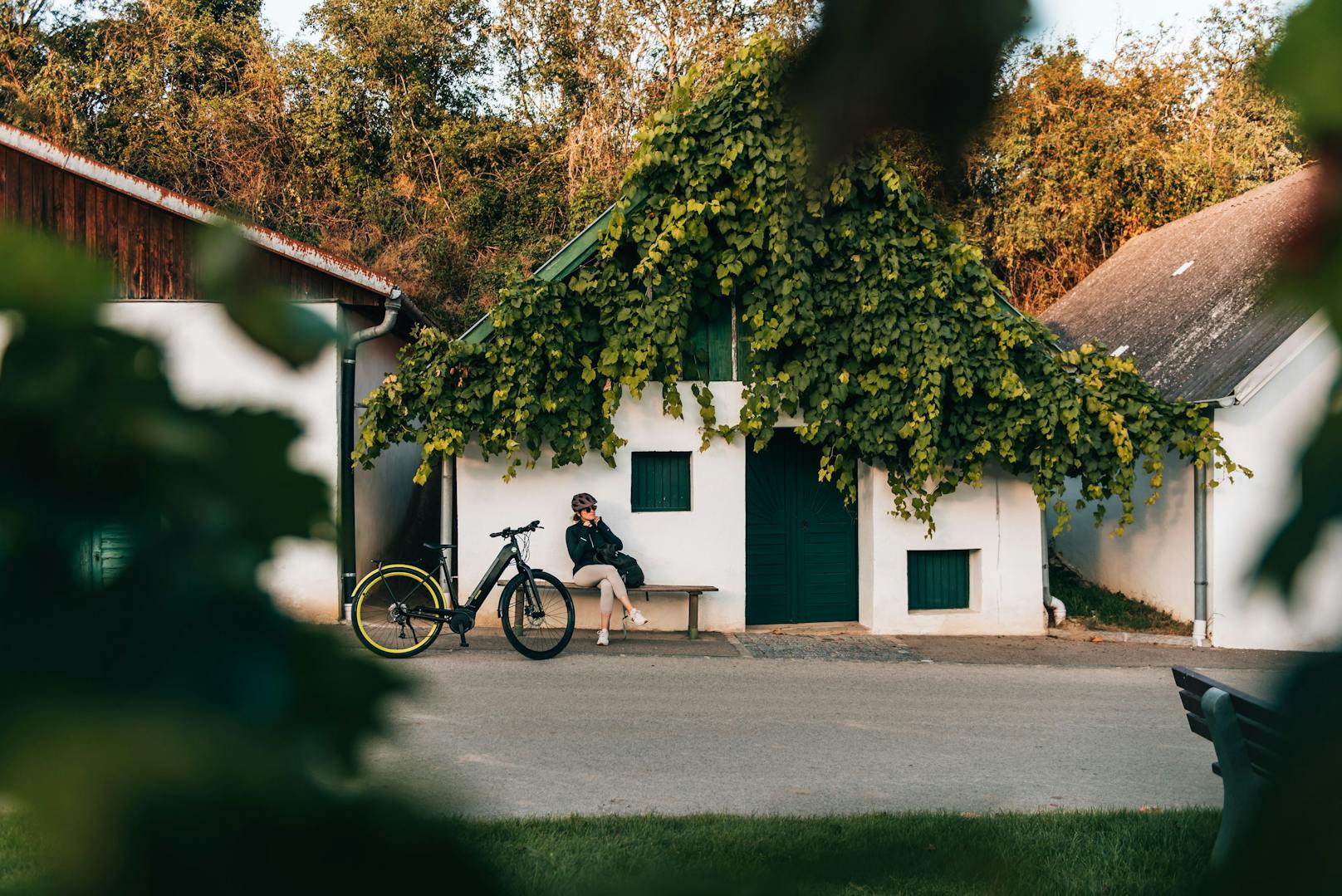 Eine Radtour im Weinviertel gehört ebenfalls zu einer Weinreise - hier in Mailberg.