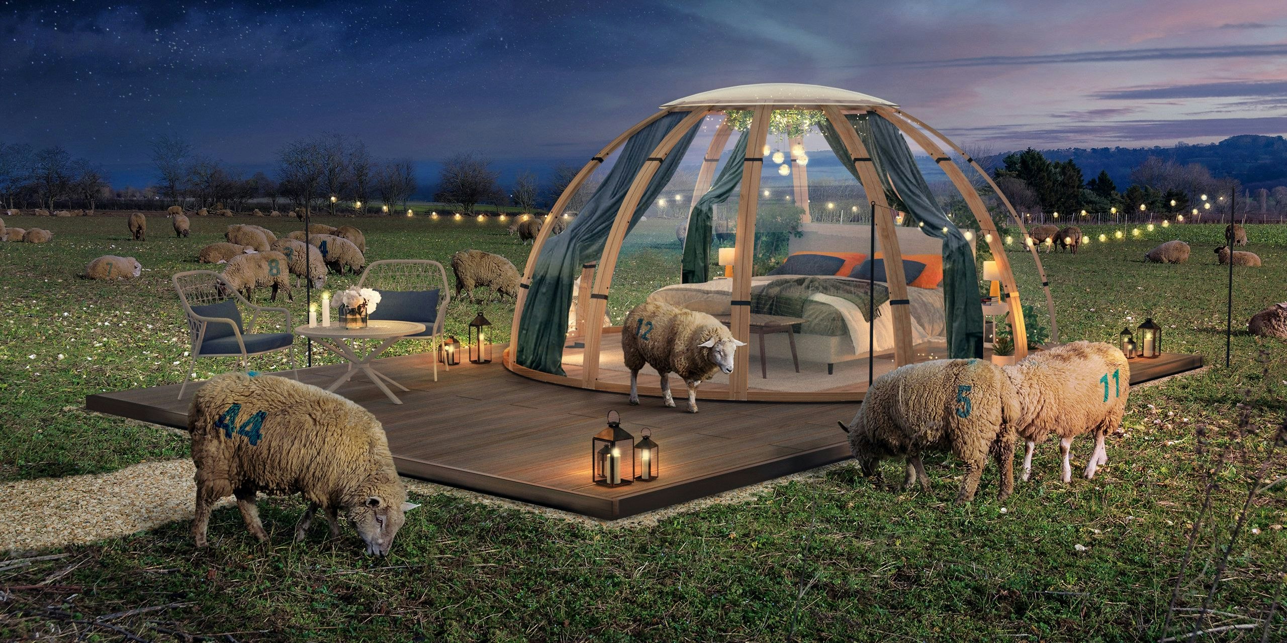 Schlafen inmitten einer Schafherde