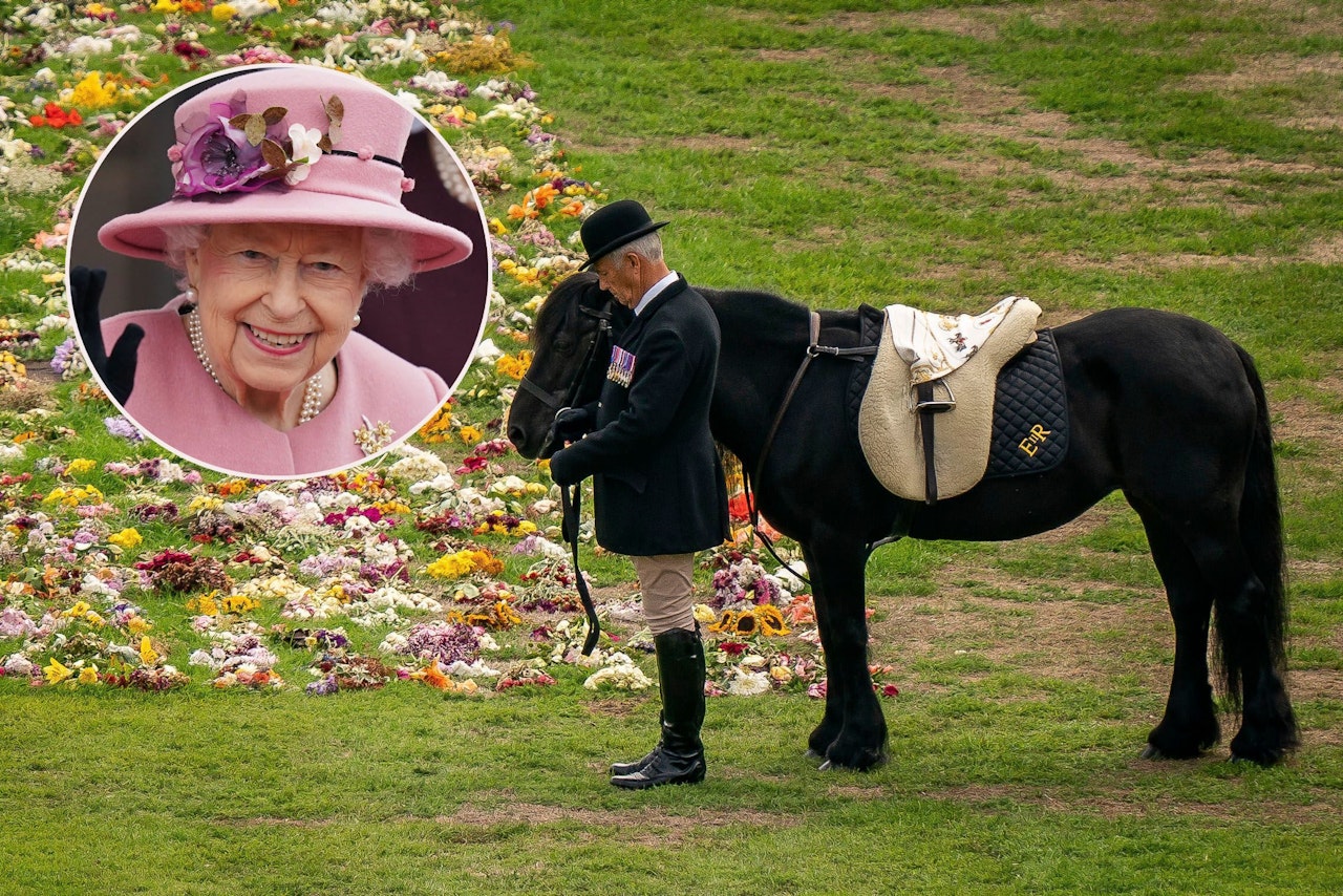 Heute.at - Royal-Insider: Ihr Pony spürte, dass sie bald stirbt