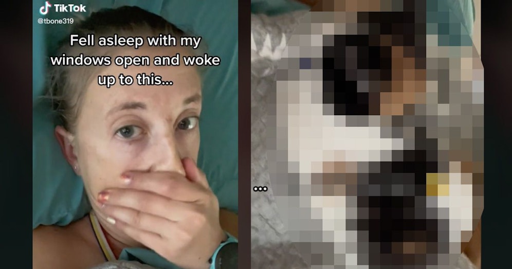 Die Frau konnte nicht glauben, was morgens auf ihrem Bauch lag.