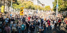 Tausende Menschen ziehen bei Klimastreik durch Wien
