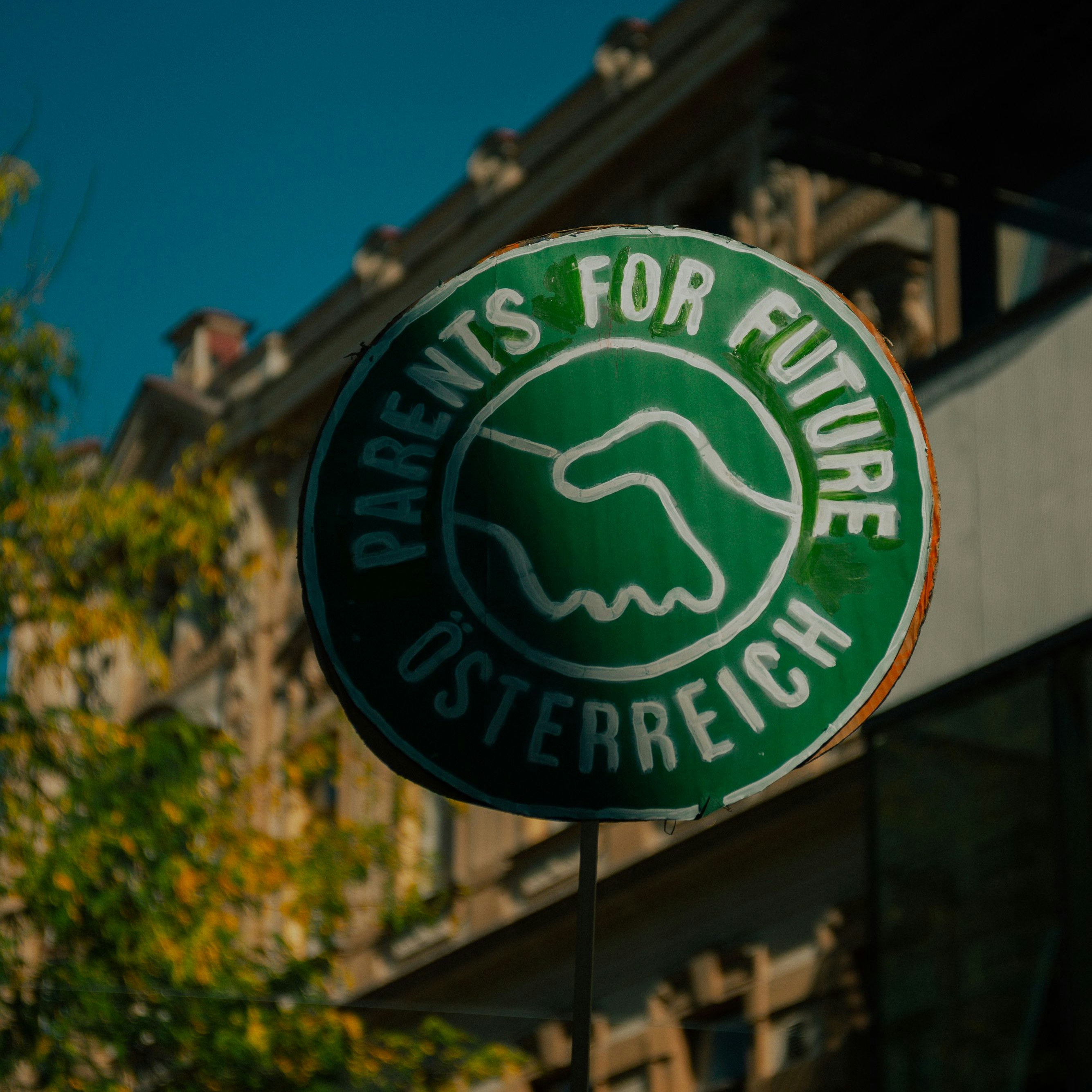 Hunderte Menschen versammelten sich zum Klimastreik in St. Pölten.