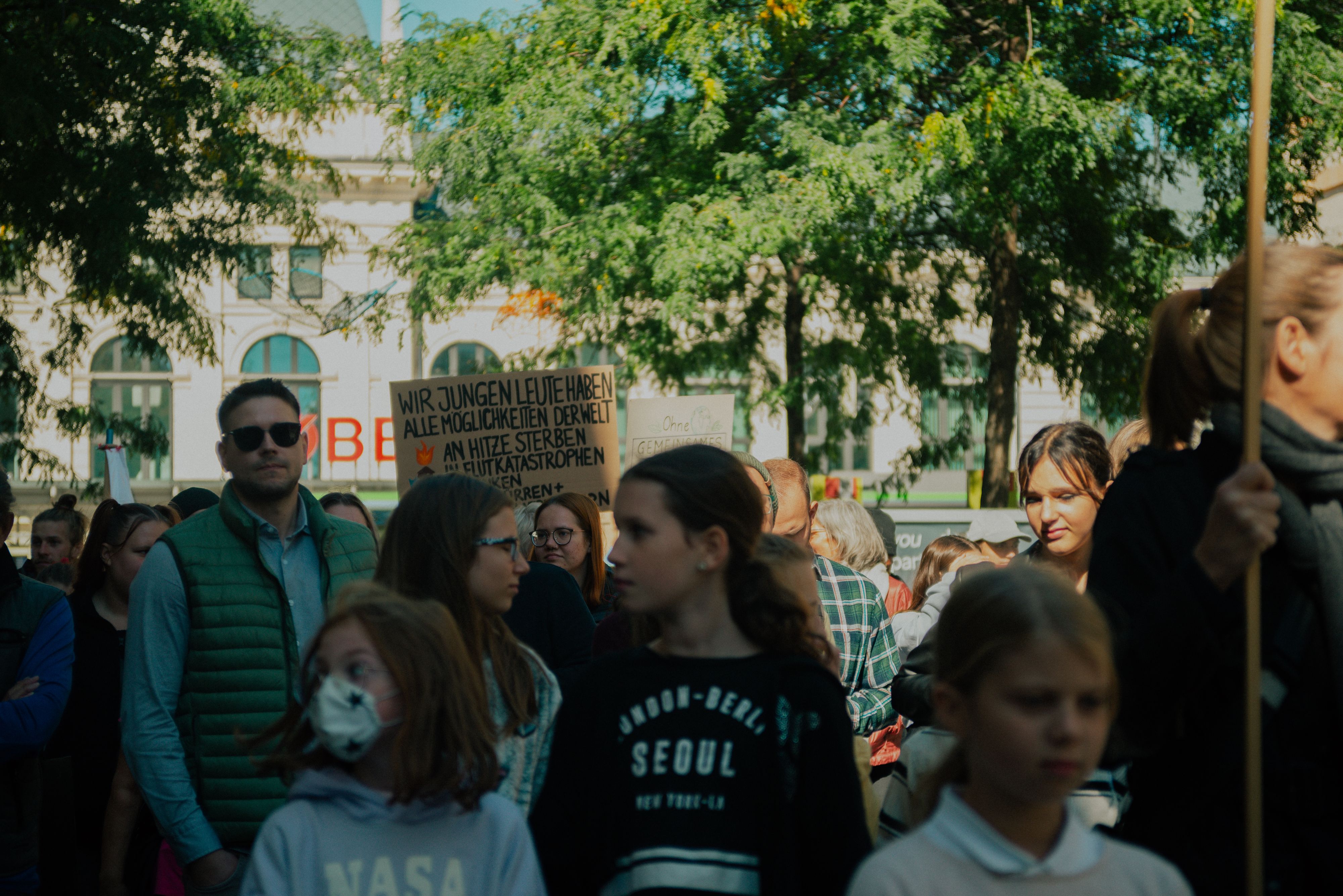 Aus ganz Niederösterreich machten Leute bei Fridays For Future mit.