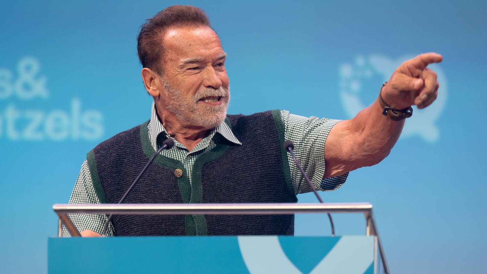 Umweltschützer hätten es beim Atomausstieg gut gemeint, aber einen Fehler gemacht, ist <strong>Arnold Schwarzenegger</strong> überzeugt.