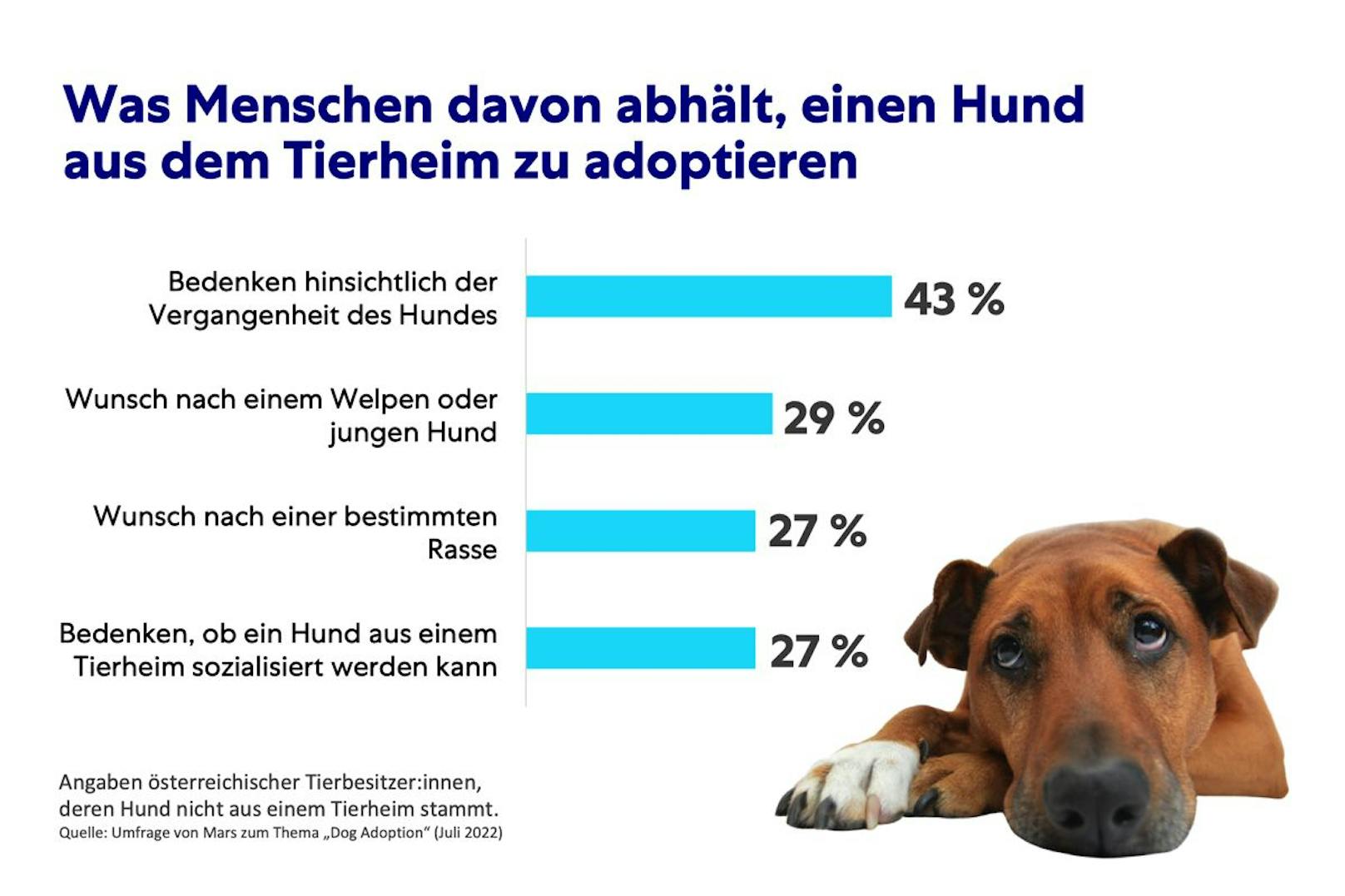 Diese Graphik zeigt leider genau auf, weshalb eine Adoption aus dem Tierheim meist scheitert. 
