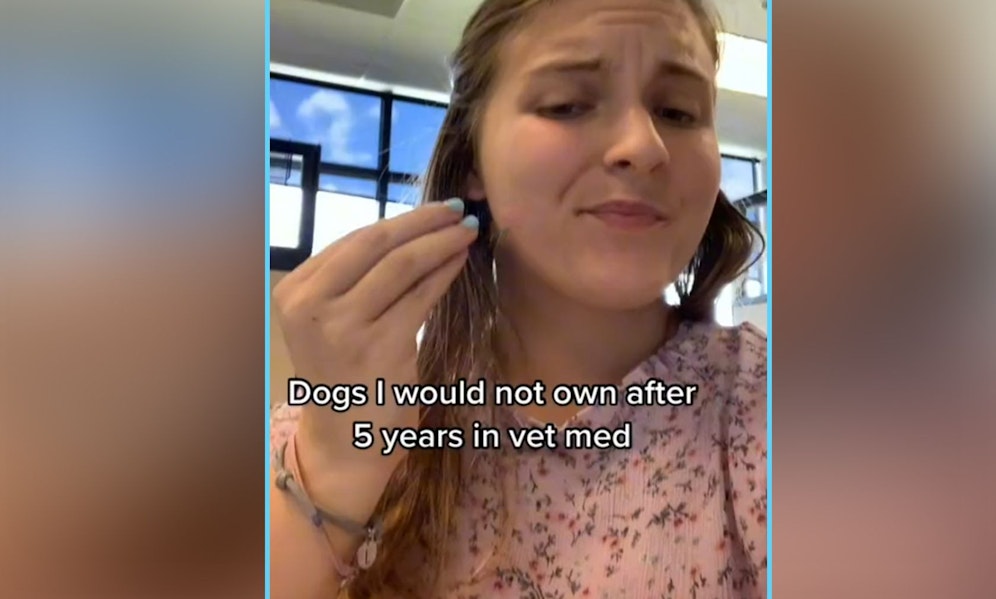 Nach fünf Jahren Veterinärmedizin, klärt nun eine angehende Tierärztin auf.