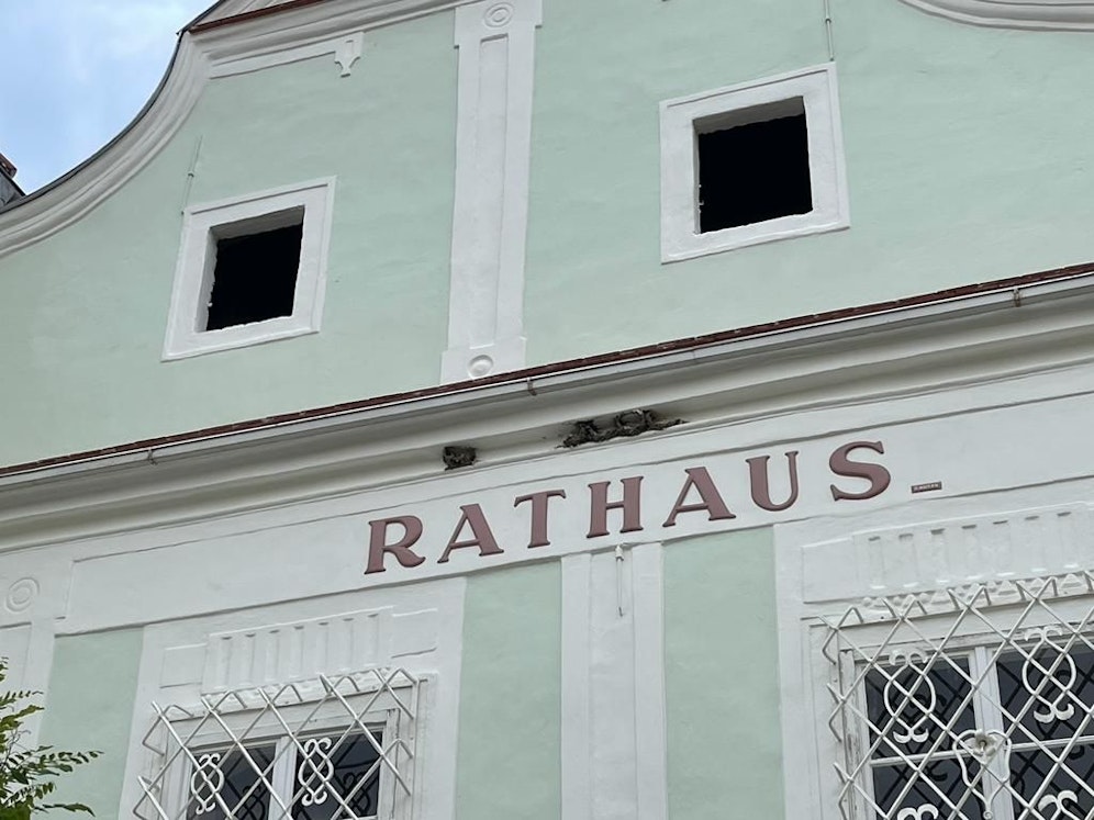 Die Rathaus-Fassade in Pulkau wurde saniert, auf die Schwalbennester wurde dabei Acht gegeben.