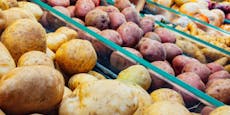 Kartoffel-Katastrophe – Bio kostet um 260 Prozent mehr