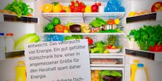 "Gut gefüllter Kühlschrank" – Grüne geben neue Spartipps