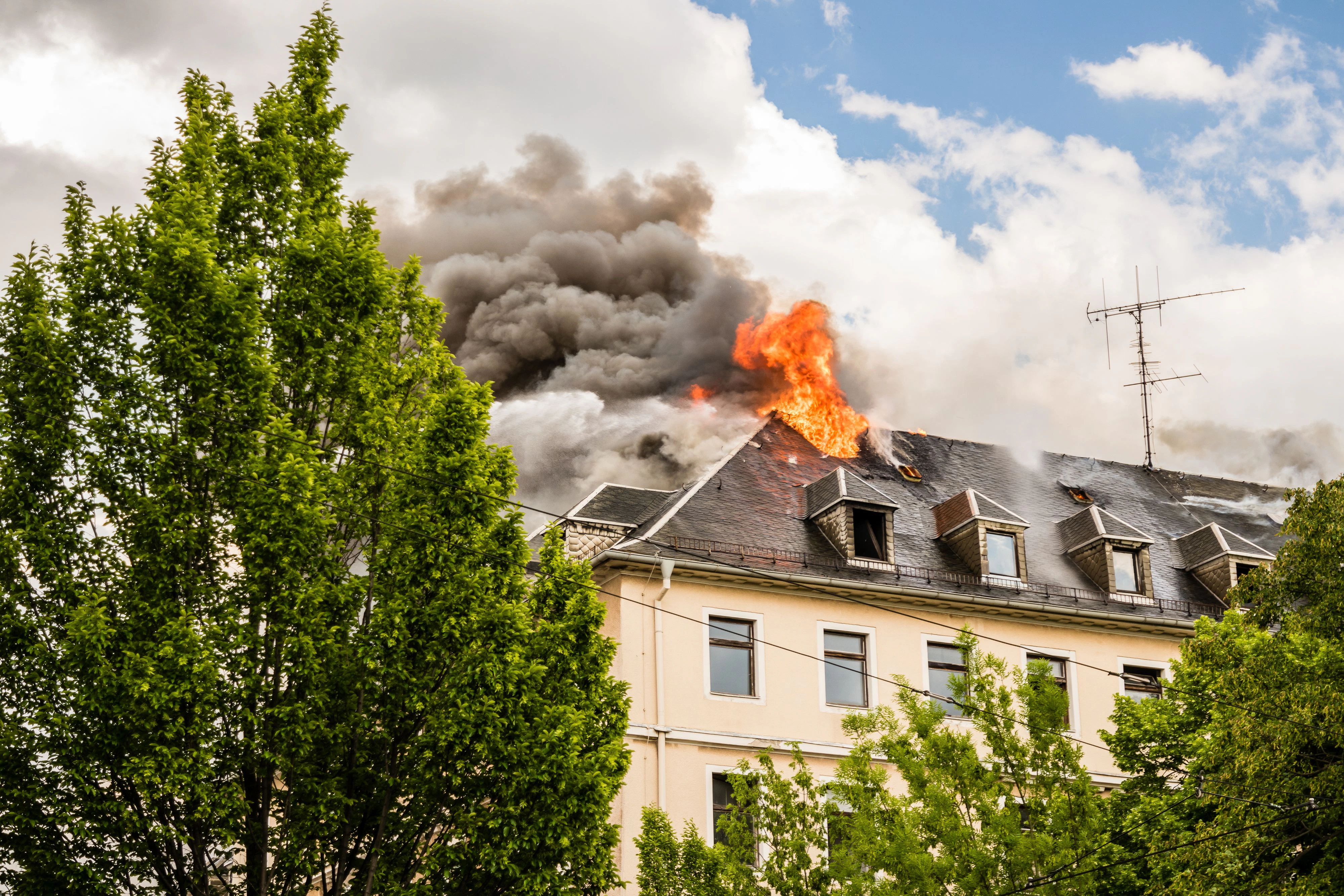 Brand