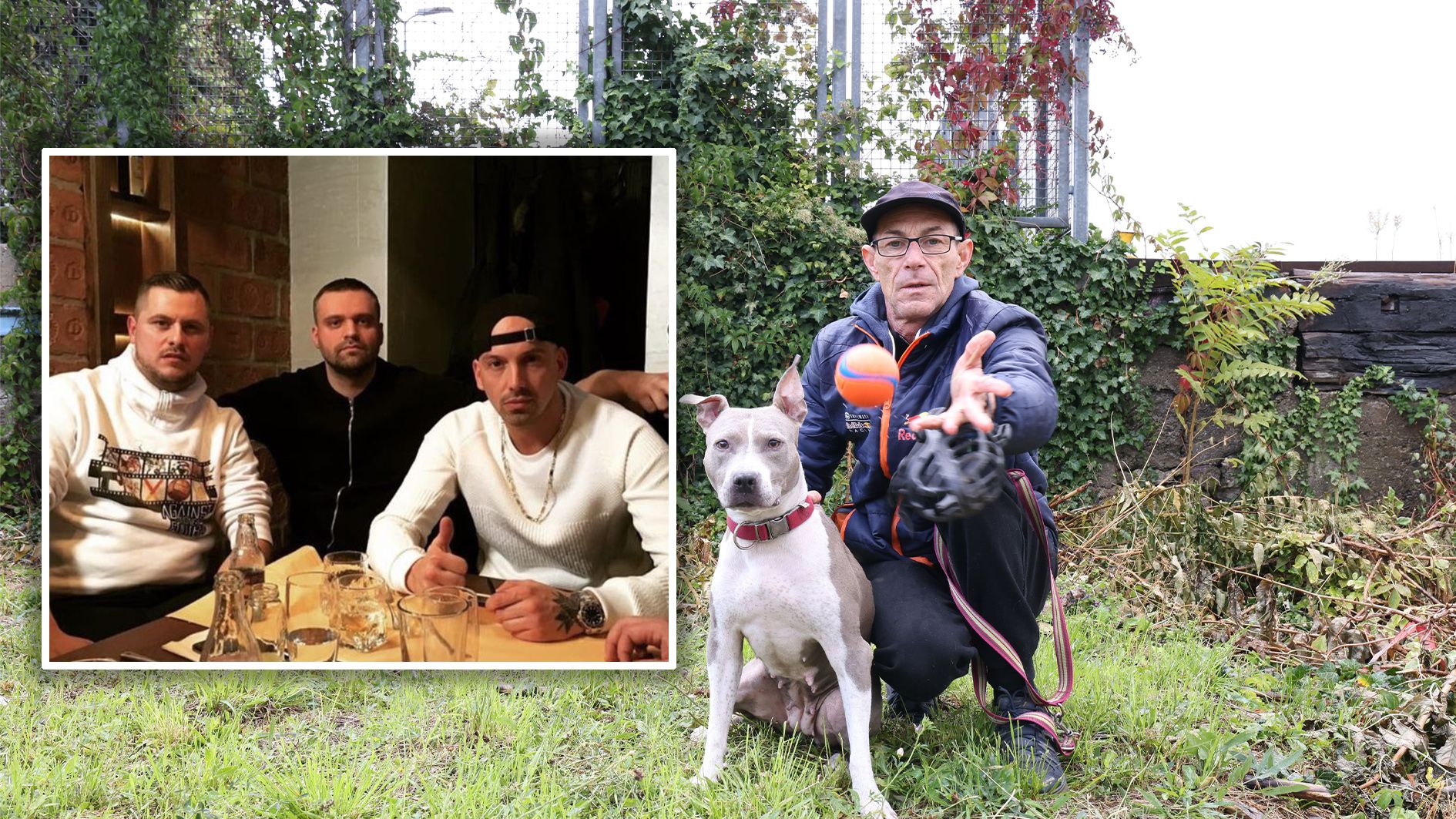 Auch die drei wollen Amy helfen. 