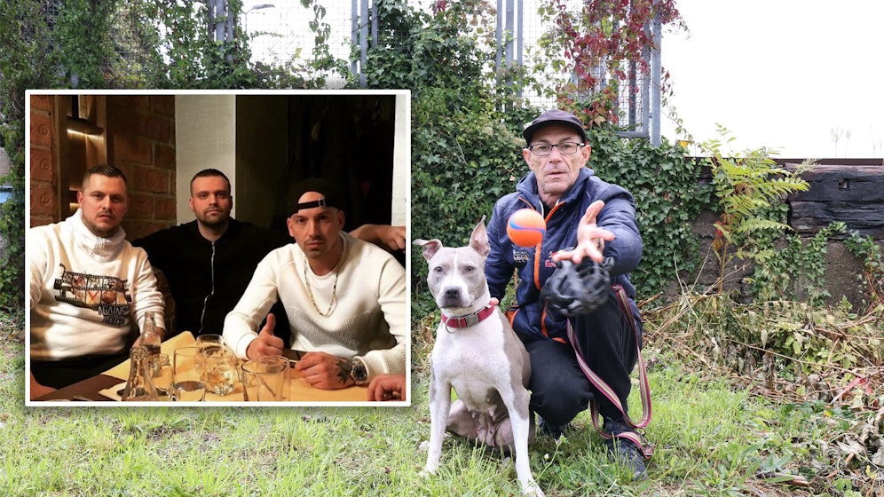 Auch die drei wollen Amy helfen. 