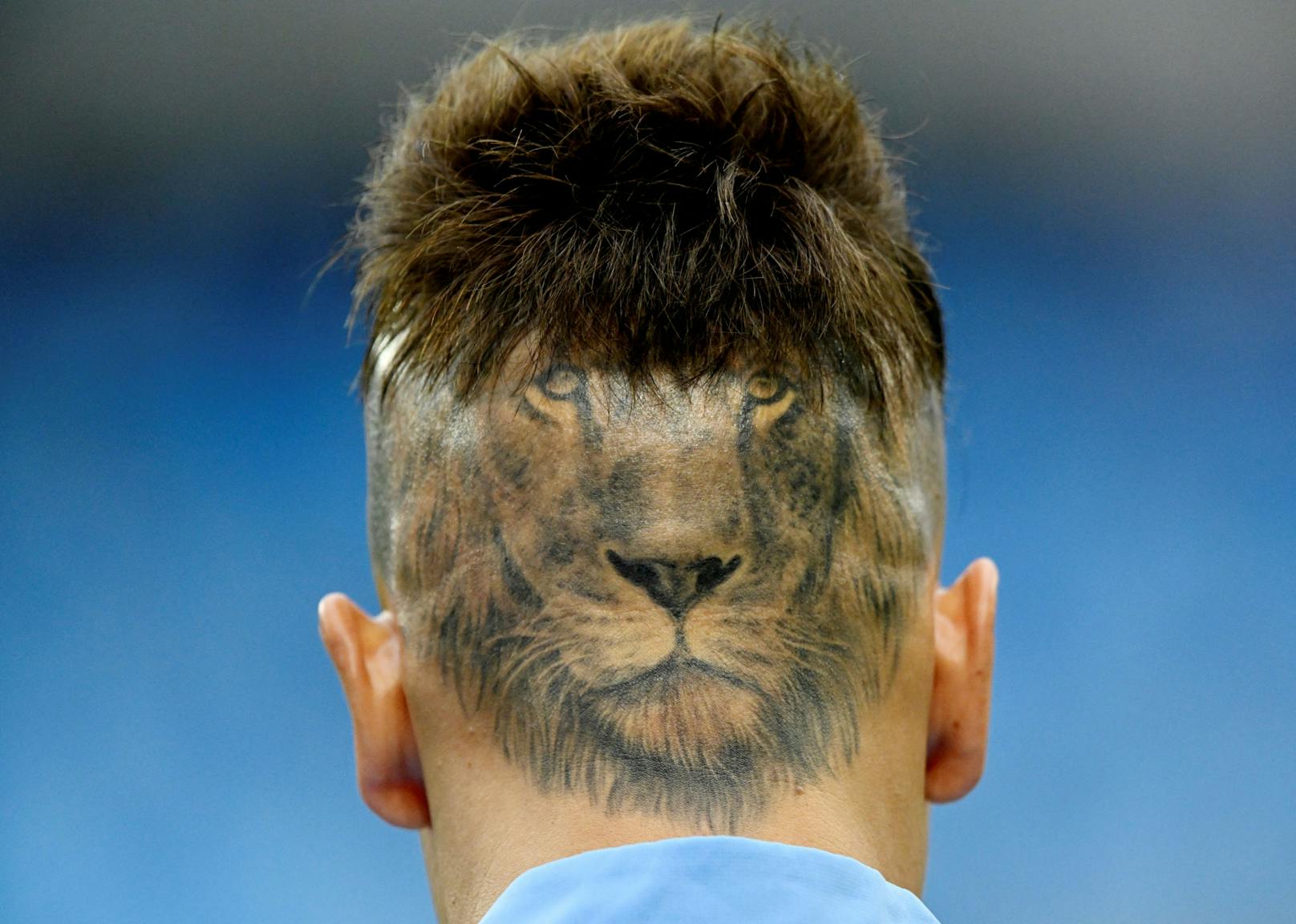 Sebastian Sosa verpasst seinem Löwen eine schnittige Frisur.
