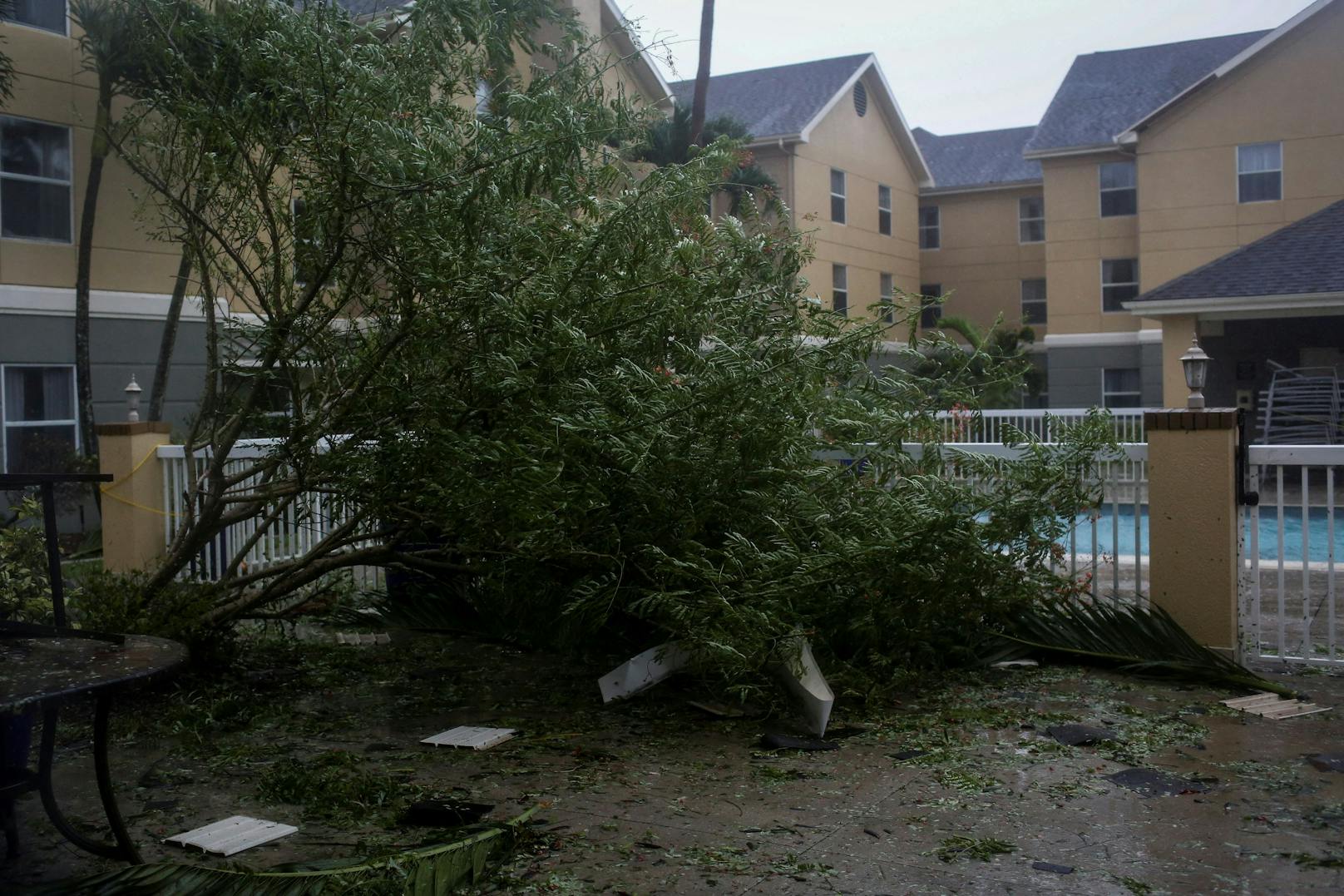 Ein umgestürzter Baum ist im Poolbereich eines Hotels zu sehen, als Hurrikan Ian am 28. September 2022 im Südwesten Floridas in Fort Myers, Florida, USA, auf Land trifft.