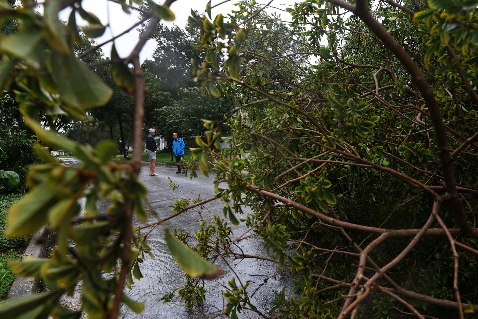 Anwohner unterhalten sich auf der Straße, nachdem ein Baum über ihre Straße gefallen ist, als Hurrikan Ian im Südwesten Floridas in Tampa, Florida, USA, am 28. September 2022 alles in seiner Umgebung zerstört.