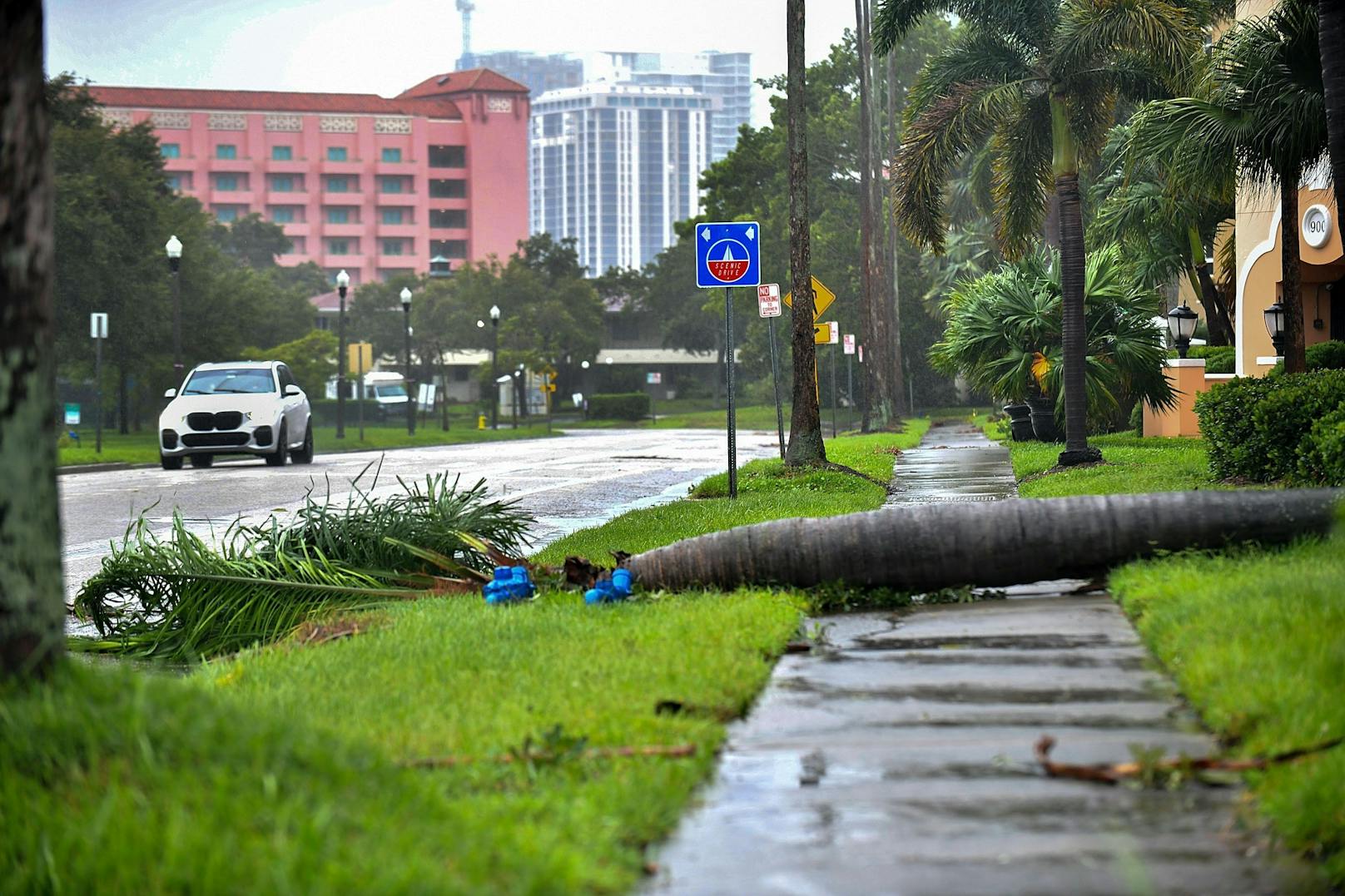 Ein umgestürzter Baum blockiert den Bürgersteig.