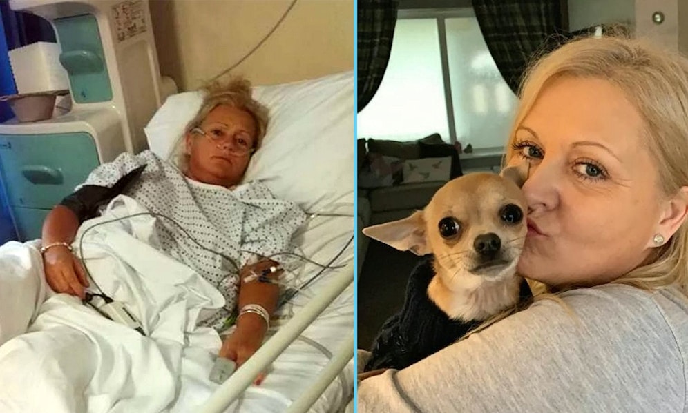 Okay, nach dieser Geschichte überlegt man sich wohl zweimal ein Nachmittagsschläfchen mit dem Hund.