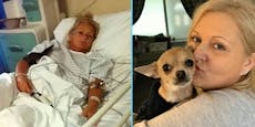Frau landete im Spital wegen "Geschäft" ihres Hundes