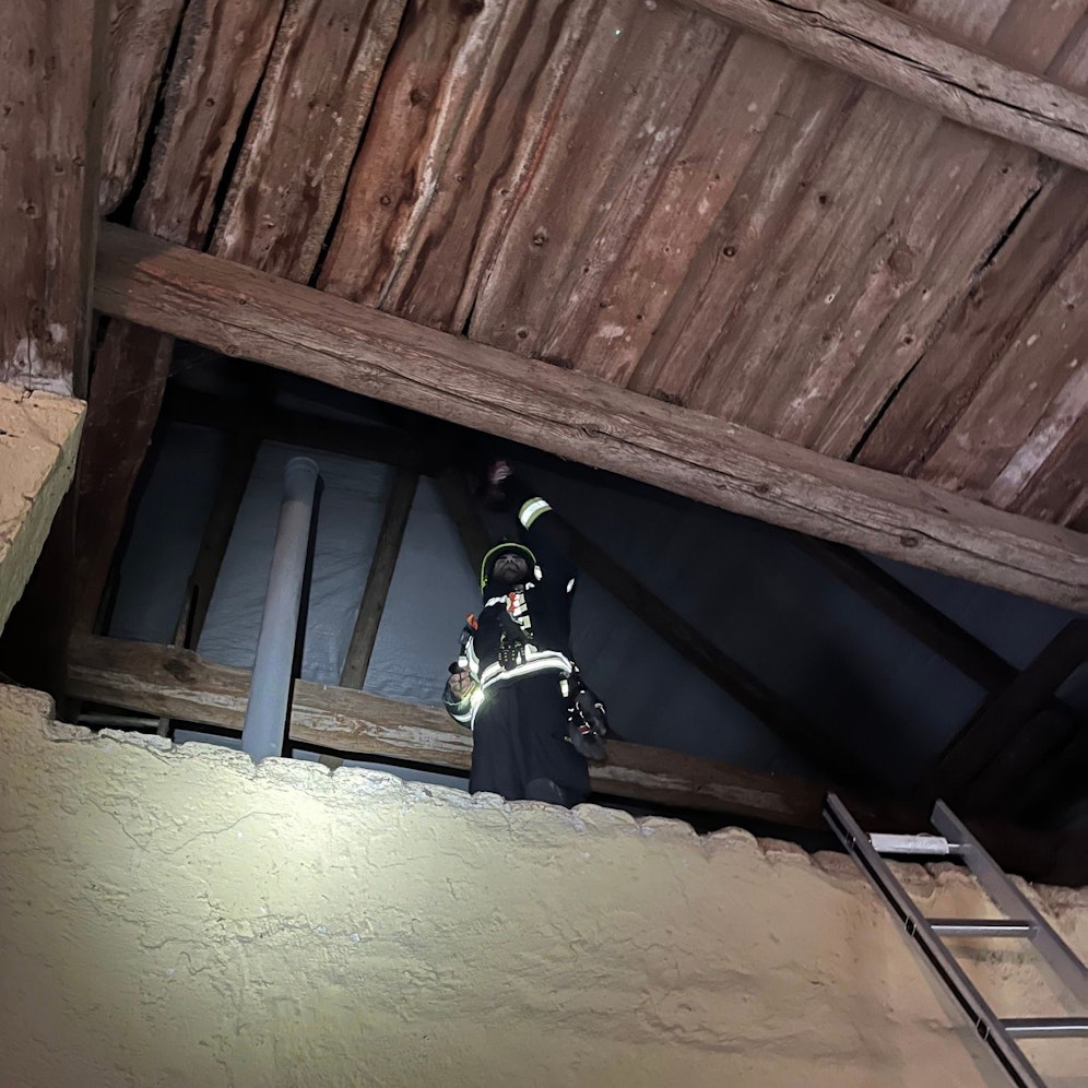 Kommandant Dominik Krenn sah sich am Dachboden um, fand aber keine Katze.