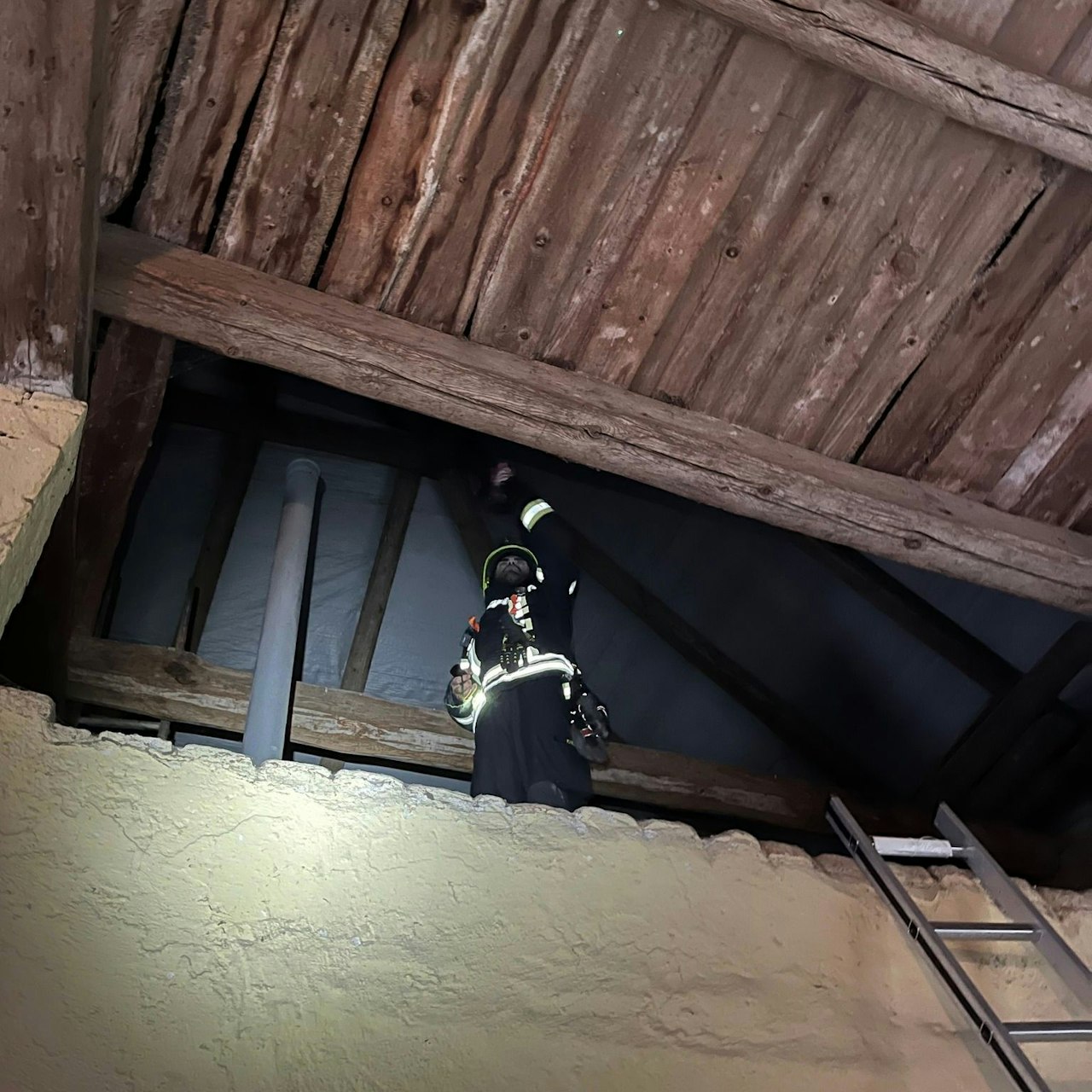 Heute.at - Miauender Gas-Zähler löst Tierrettungs-Einsatz aus