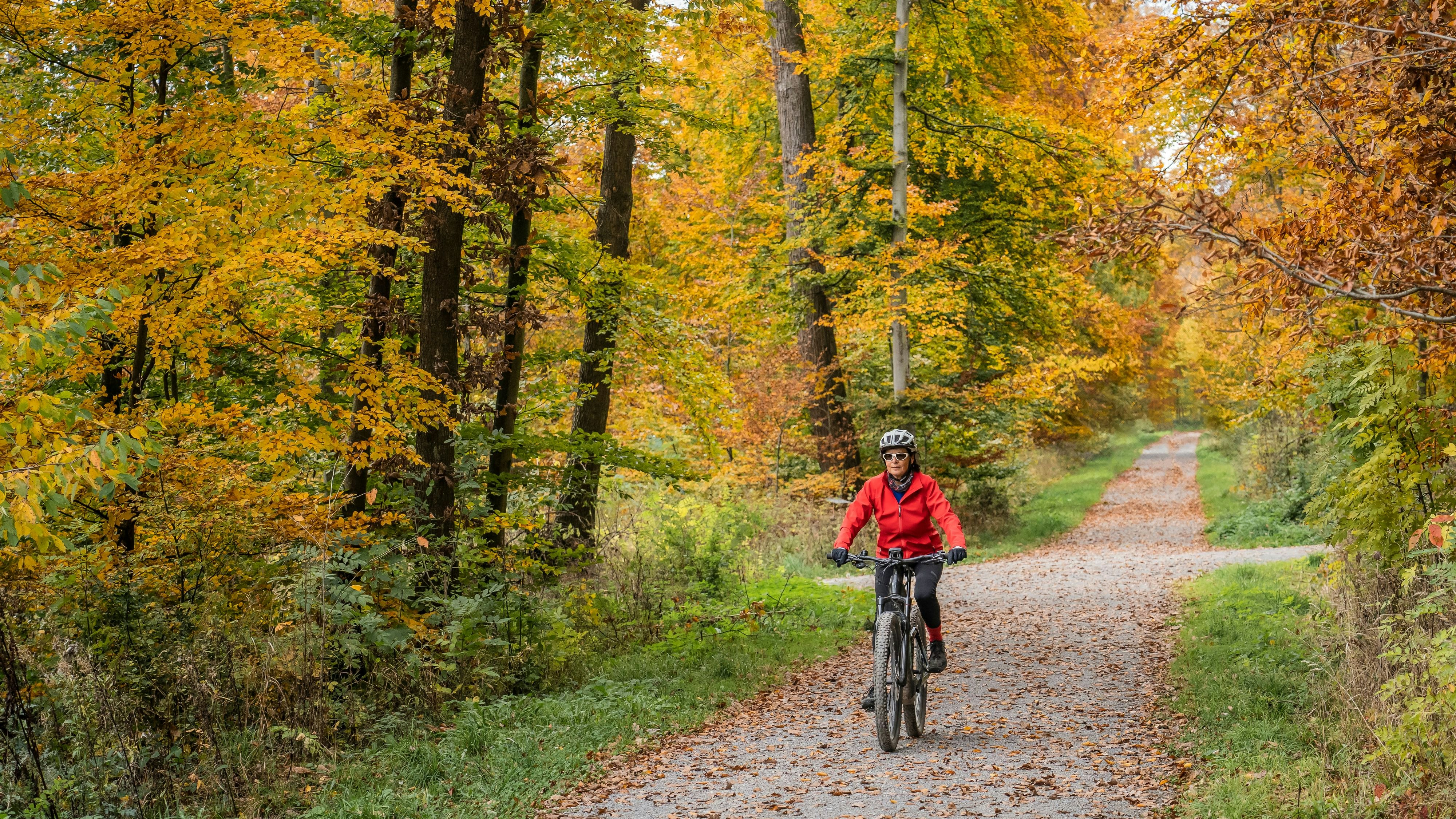 Am Mittwoch folgt der goldene Herbst.