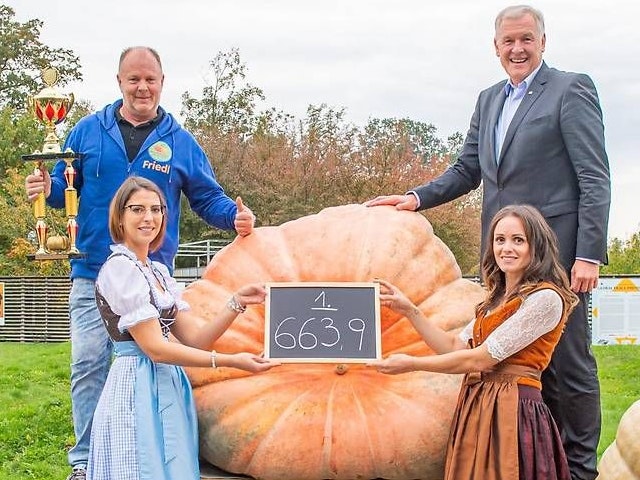 Der Kürbis von Friedrich Melka aus Ried am Riederberg setzte sich gegen rund 40 Kontrahenten durch.