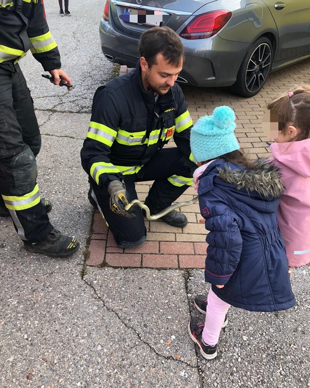 Tierischer Einsatz im Kindergarten Wasenbruck.