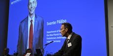 Medizin-Nobelpreis geht an Evolutionsforscher Pääbo