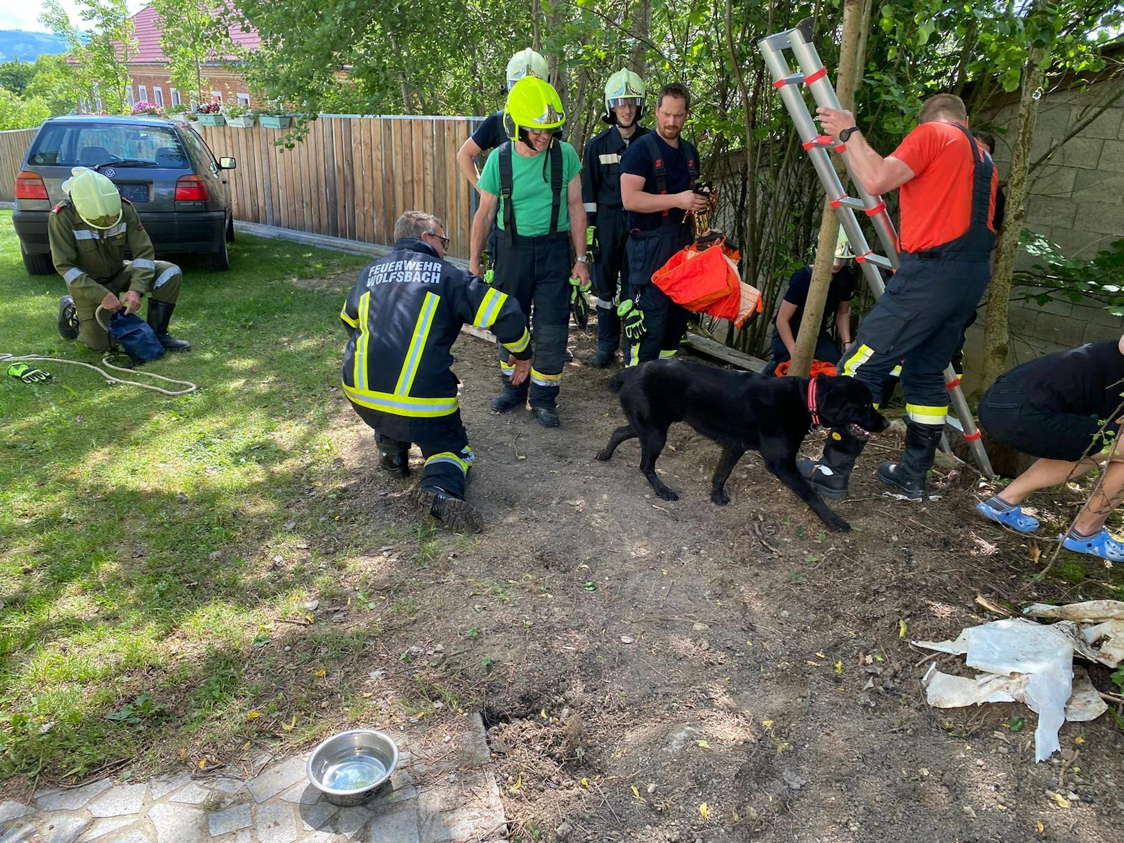 Feuerwehren im Bezirk Amstetten im Tierrettungseinsatz