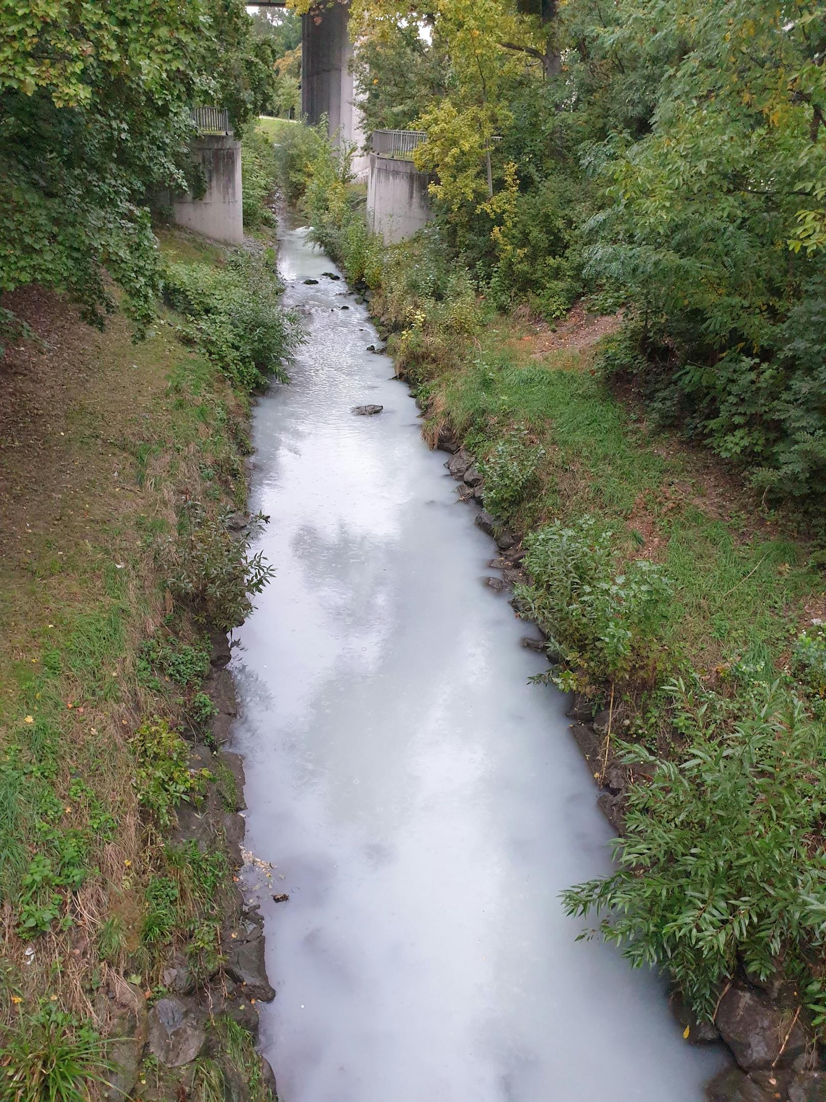 Ein "Heute"-Leser machte am Sonntag diese Bilder vom Liesingbach. Er will auch mehrere tote Fische beobachtet haben.