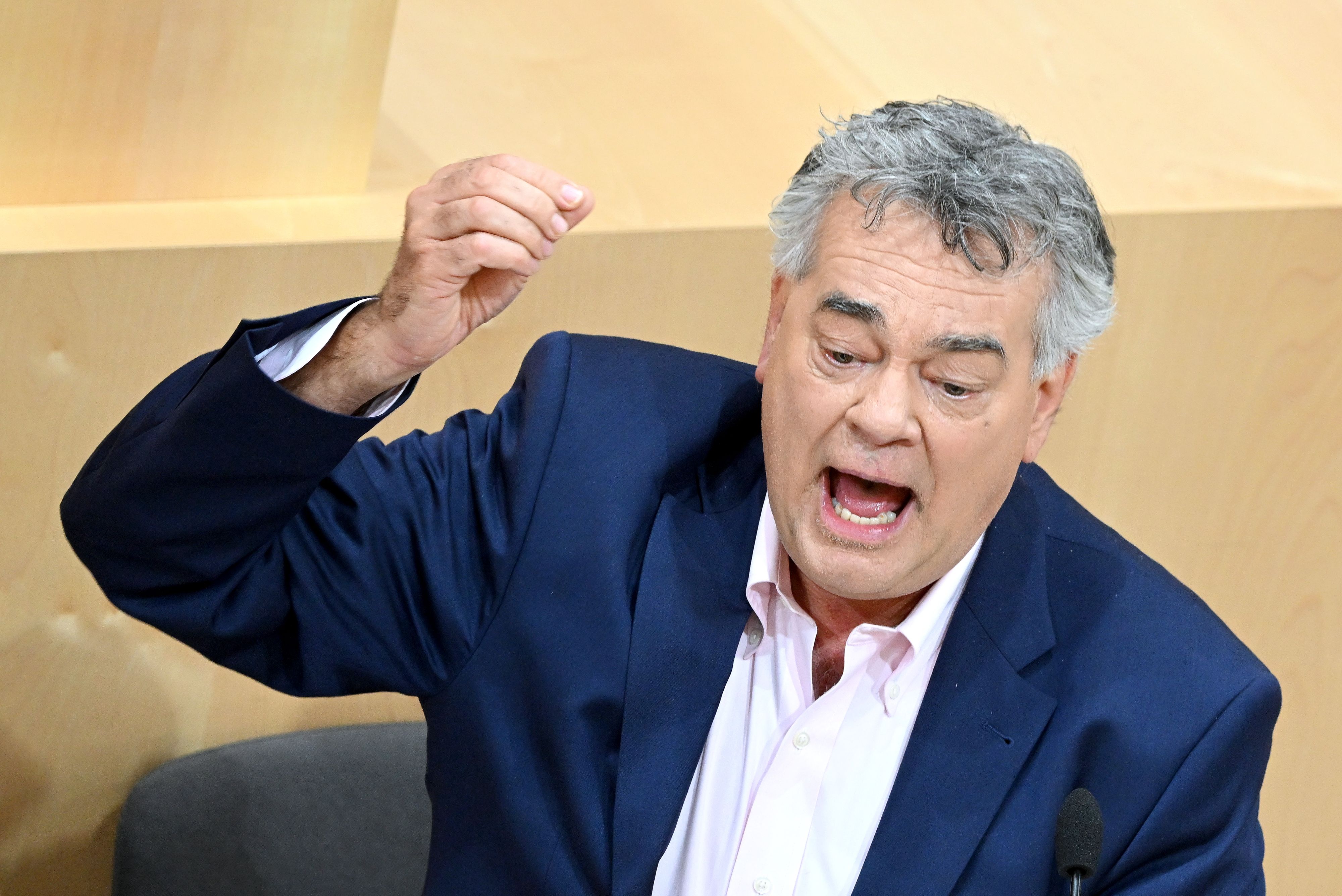 Vizekanzler Werner Kogler&nbsp;kritisierte den 