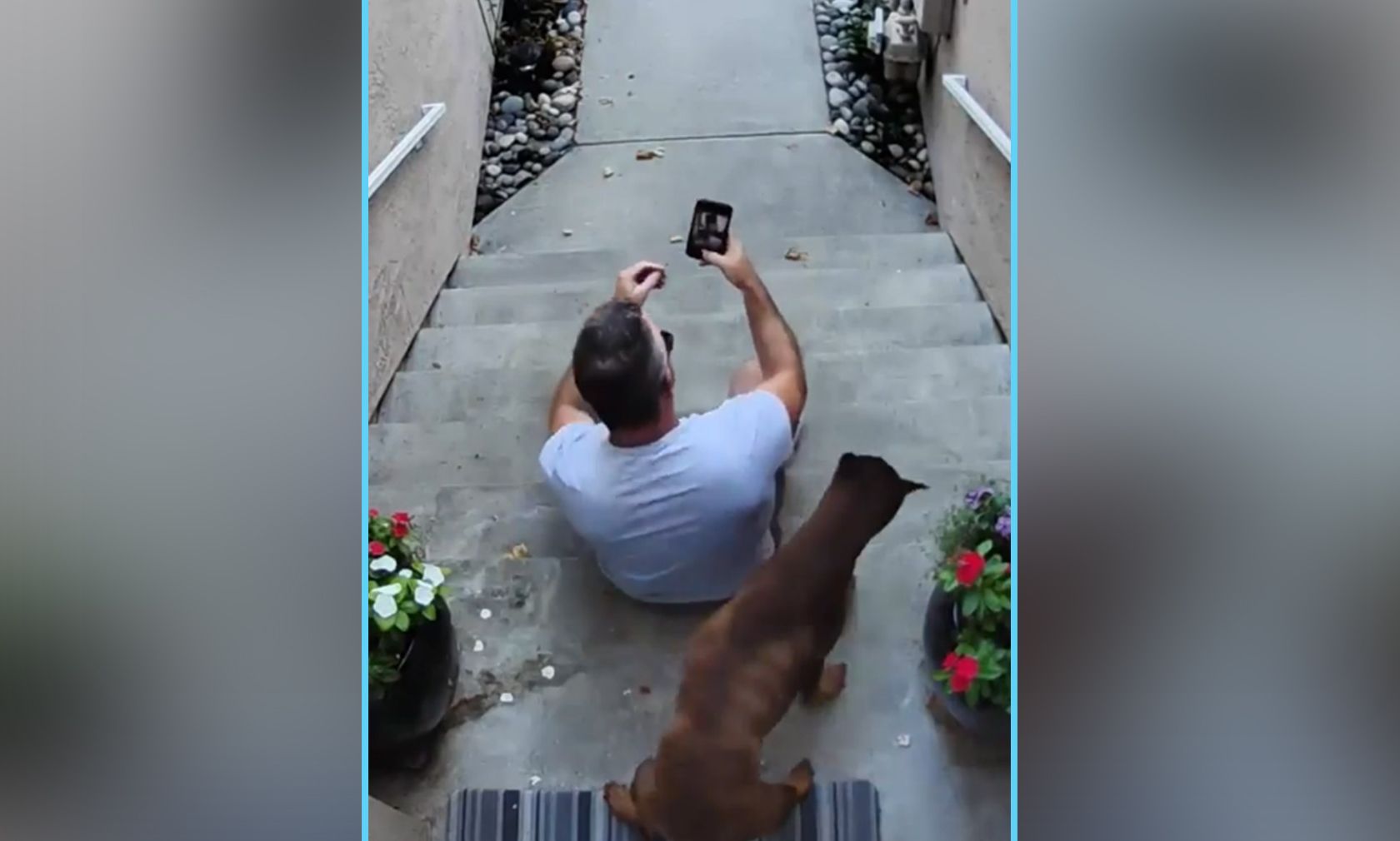 Vier Tage nach diesen Aufnahmen starb die neunjährige Hündin sehr überraschend.