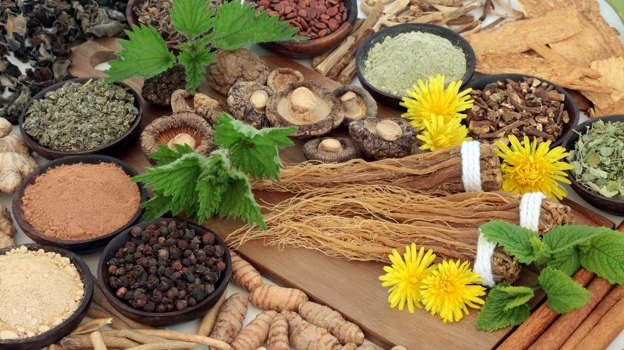 Adaptogene besitzen die Fähigkeit deinen Körper bei seinem natürlichen Stressabbau zu unterstützen. Doch nicht jeder Kräuter wirkt auf die gleiche Art und Weise.