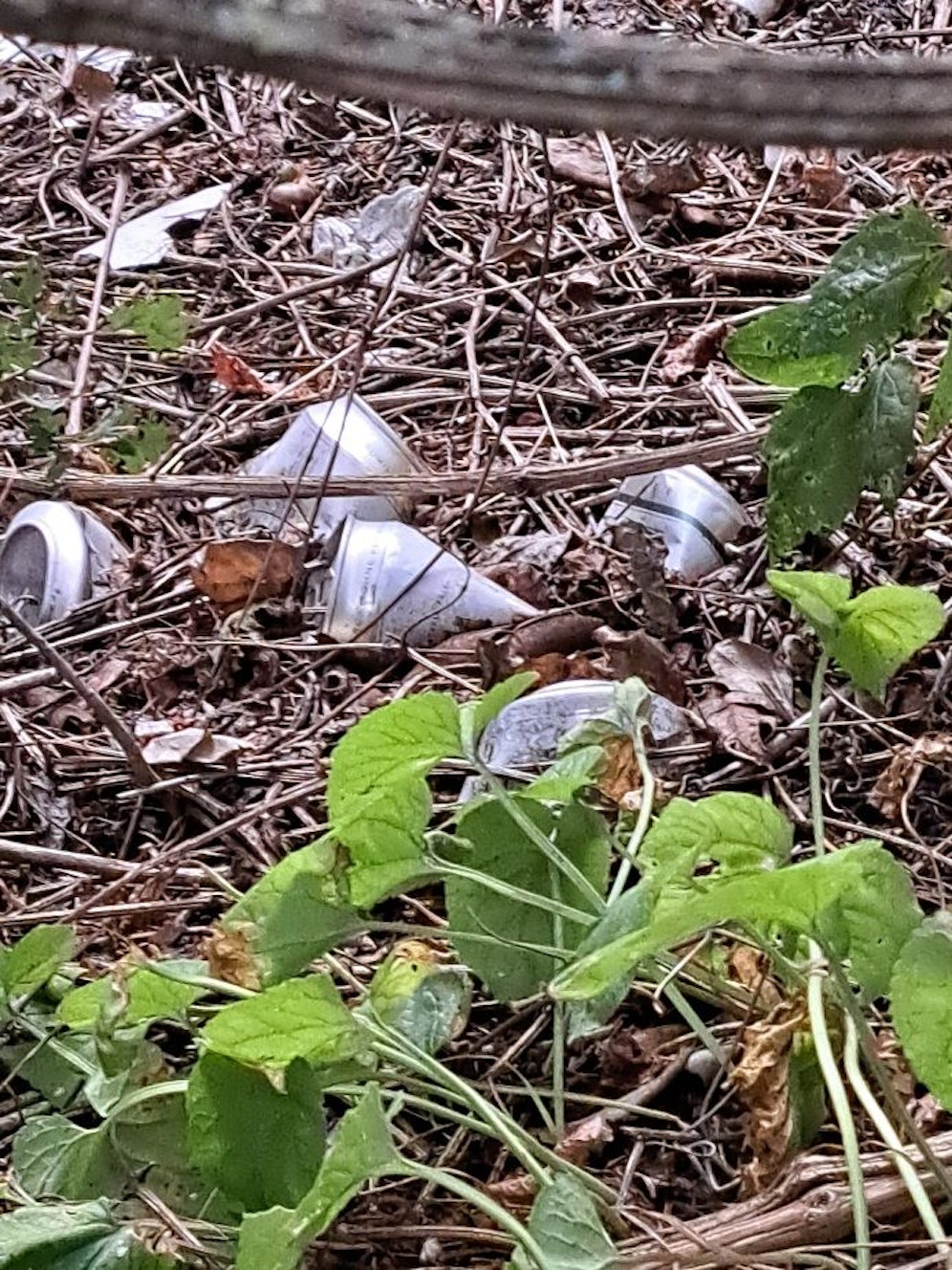 Hundebesitzerin ärgert sich über Müll bei Spaziergängen.